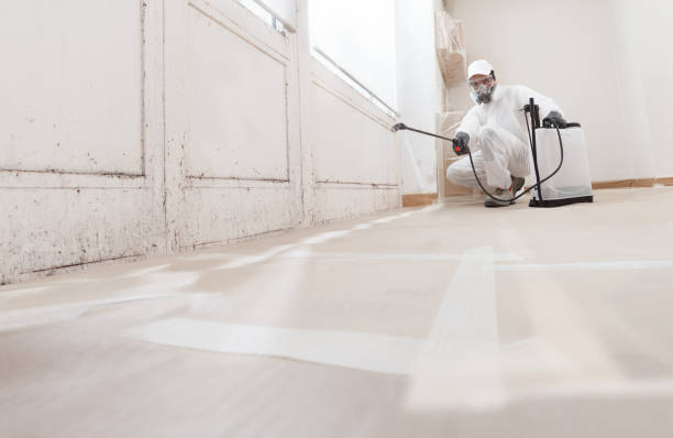 24/7 Emergency Bathroom Mold Removal experts in East Petersburg, PA